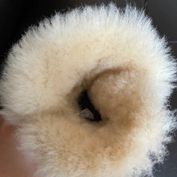 Copy - Picture 4 of 6